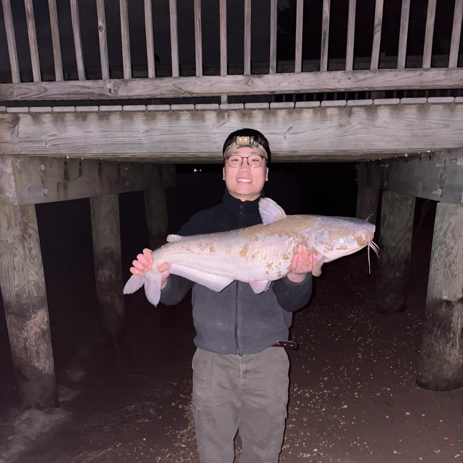 The most recent Blue catfish catches on Fishbrain