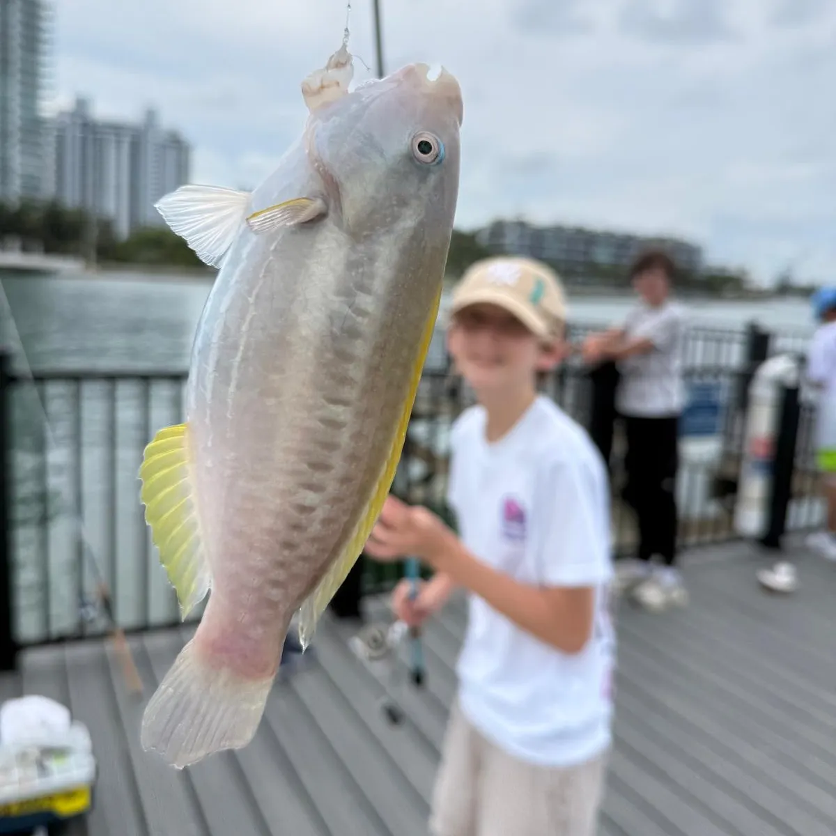 The most recent Japanese parrotfish catches on Fishbrain
