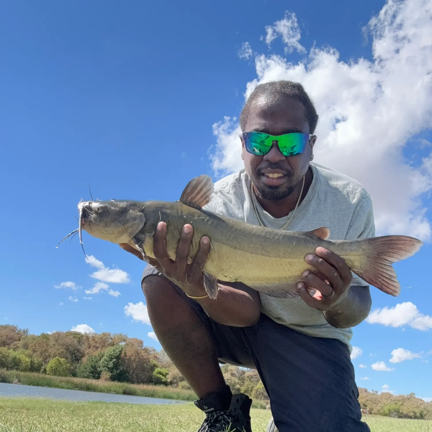 Channel catfish caught on Fishbrain