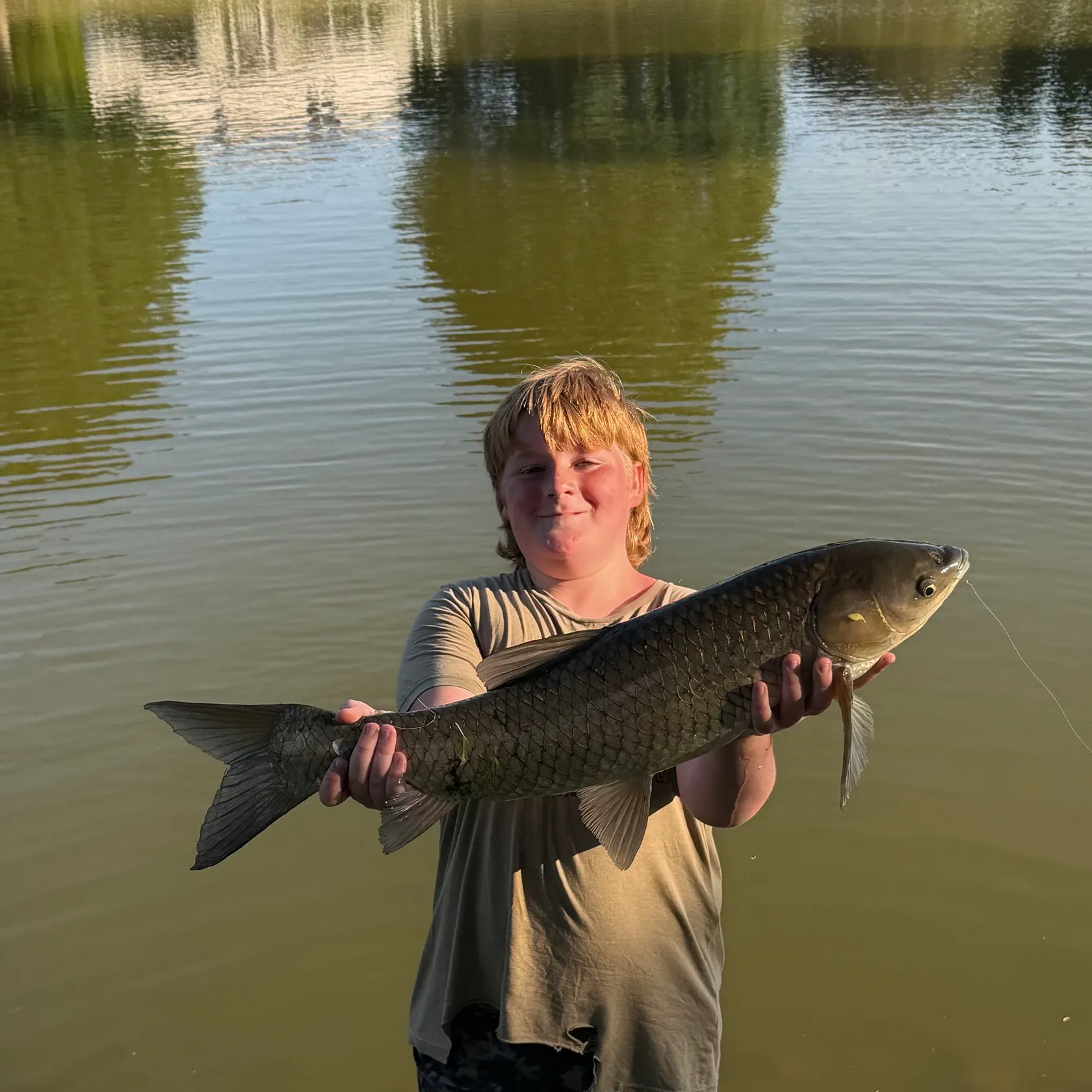 Grass carp caught on Fishbrain