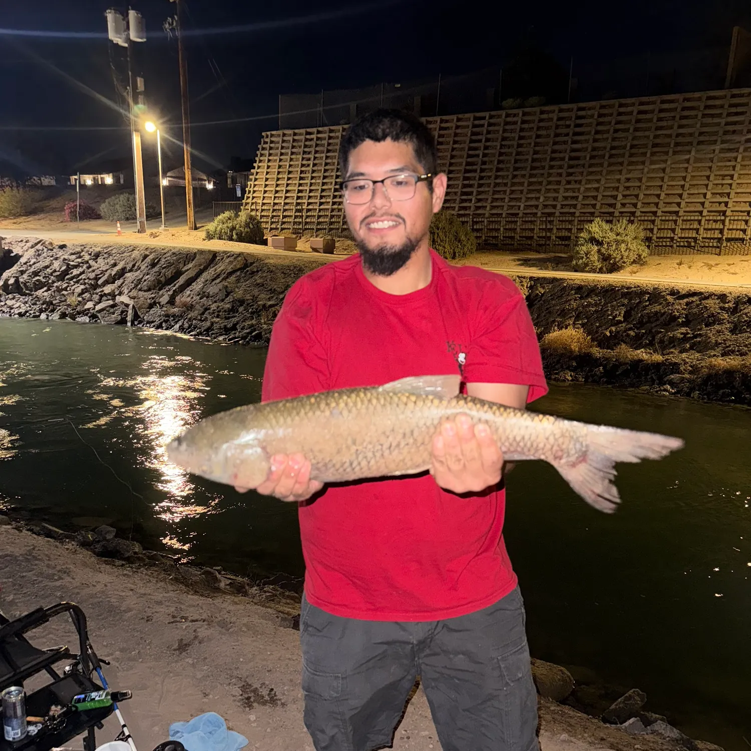 Grass carp caught on Fishbrain
