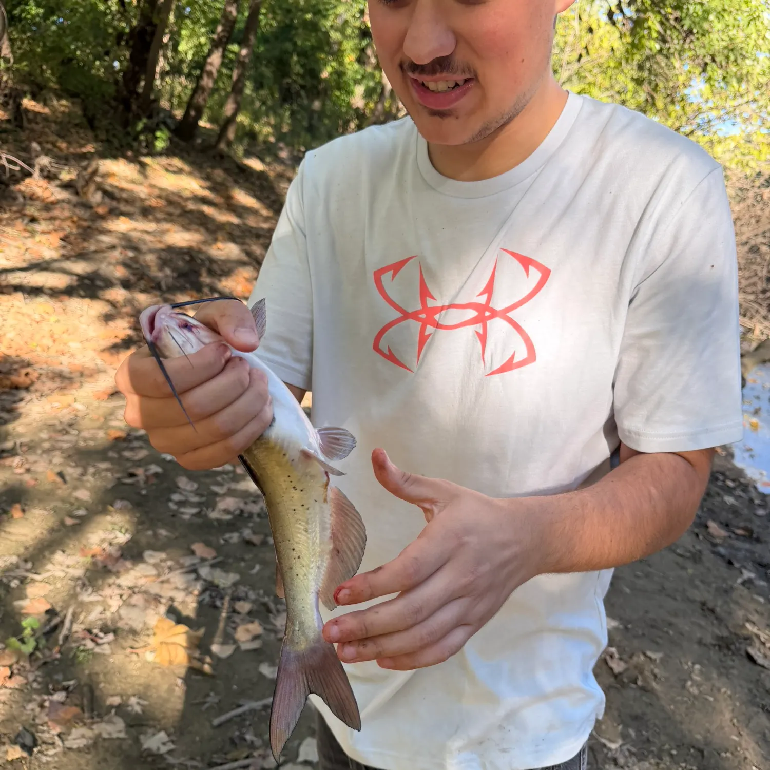 Channel catfish caught on Fishbrain