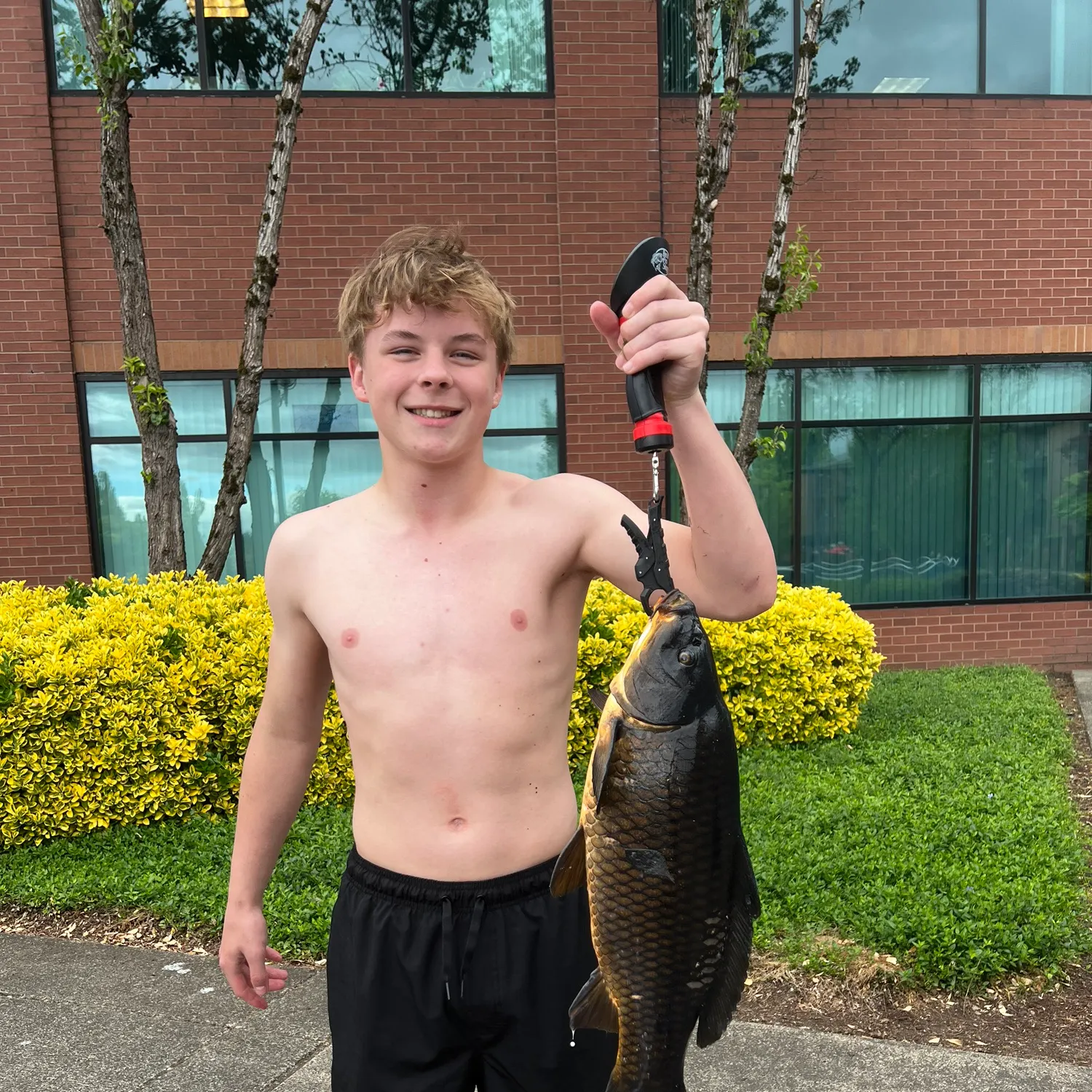 The most recent Koi x common carp catches on Fishbrain