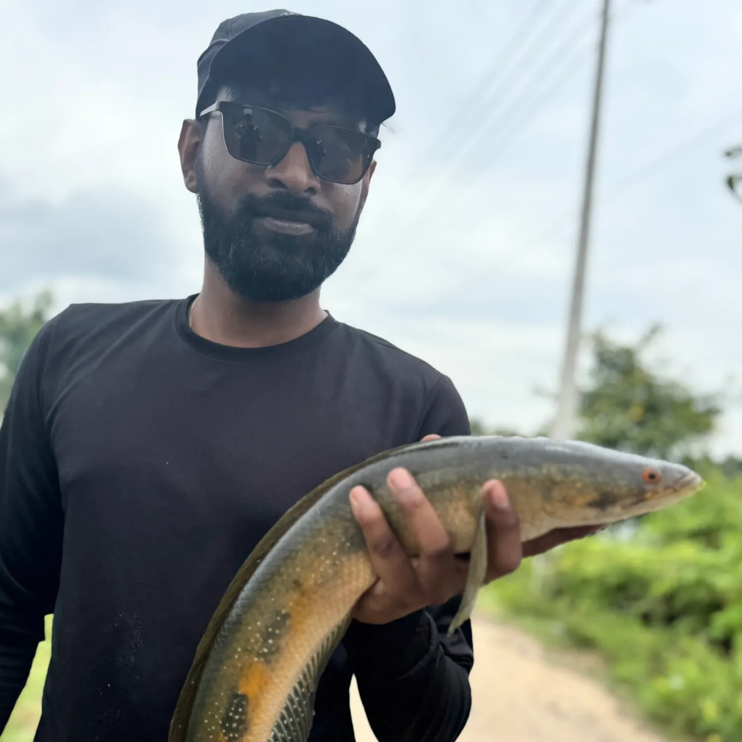 The most recent Bullseye snakehead catches on Fishbrain
