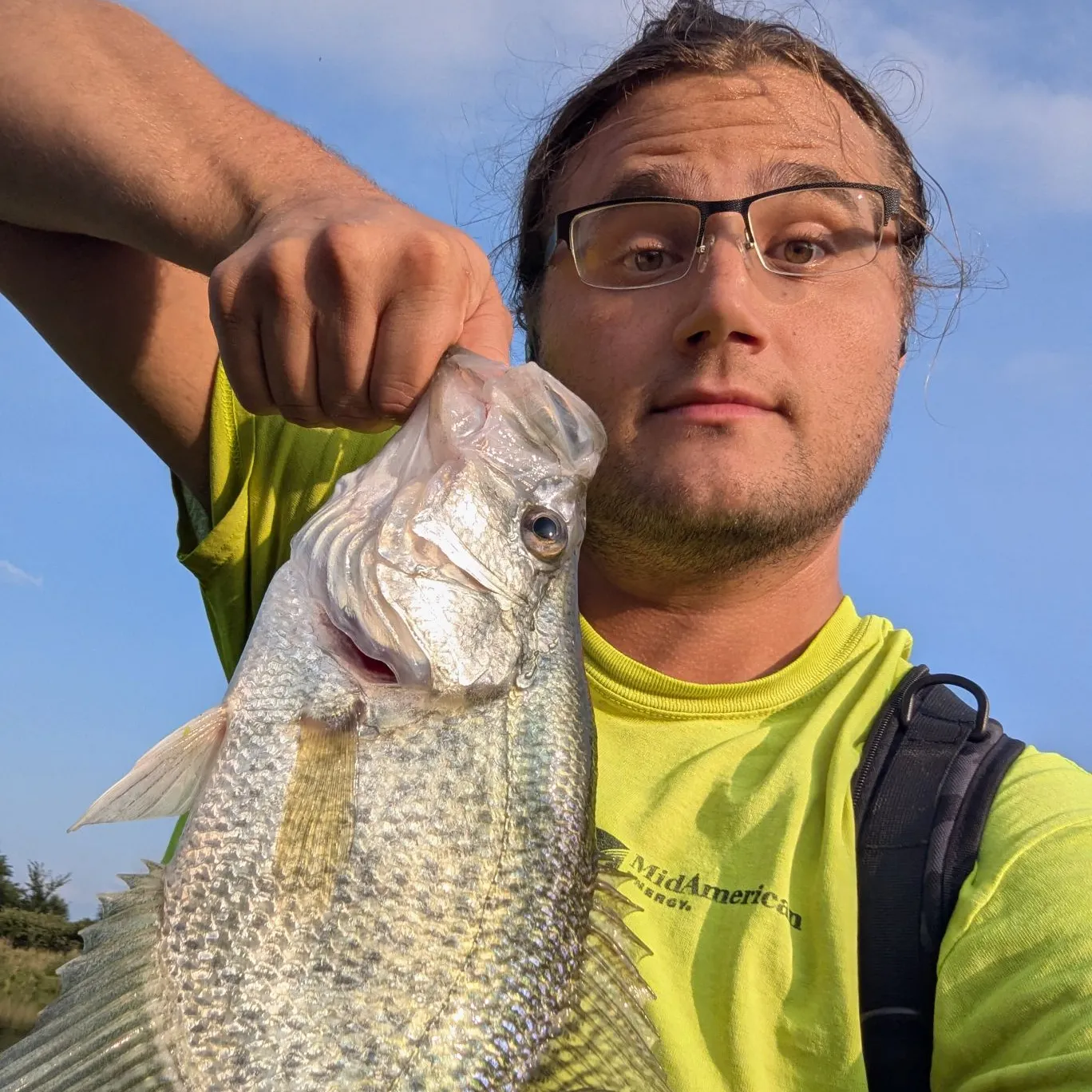 Black crappie caught on Fishbrain
