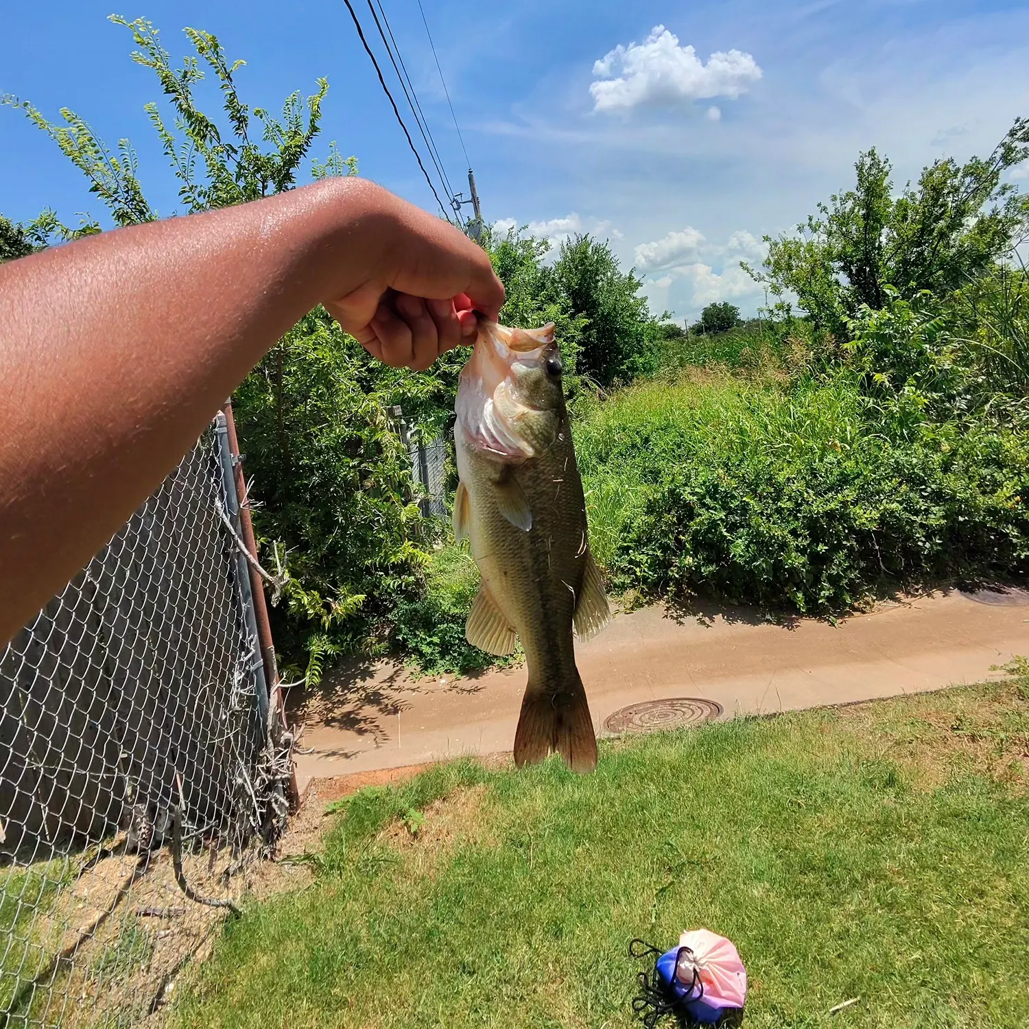 catch