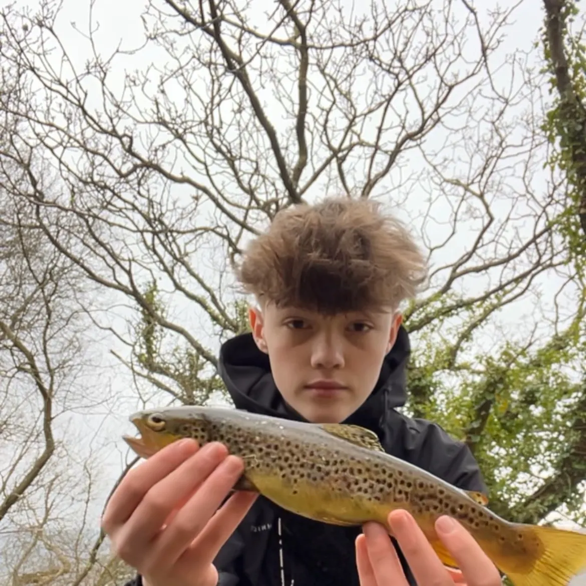 The most recent Lake trout catches on Fishbrain