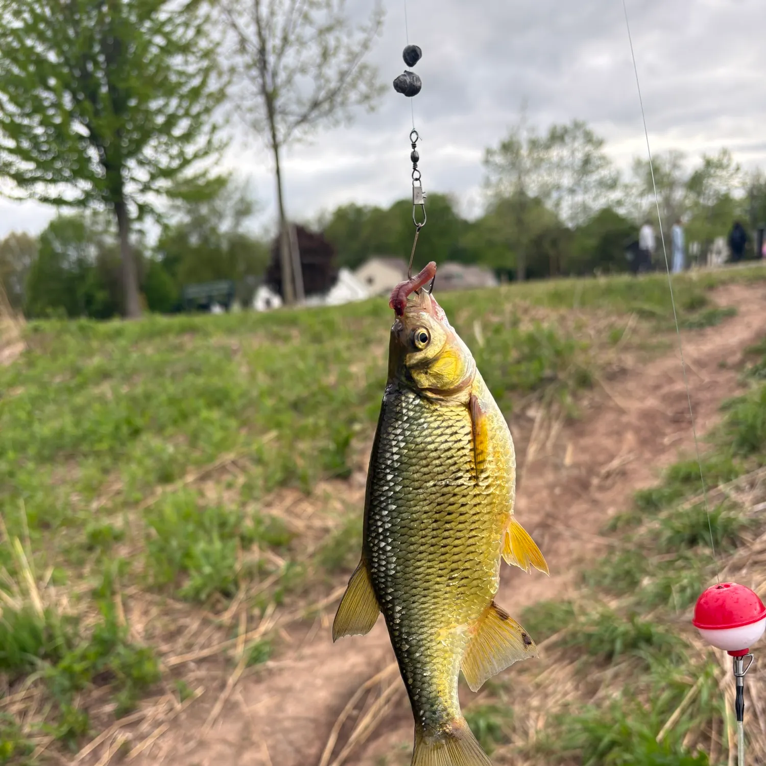 catch
