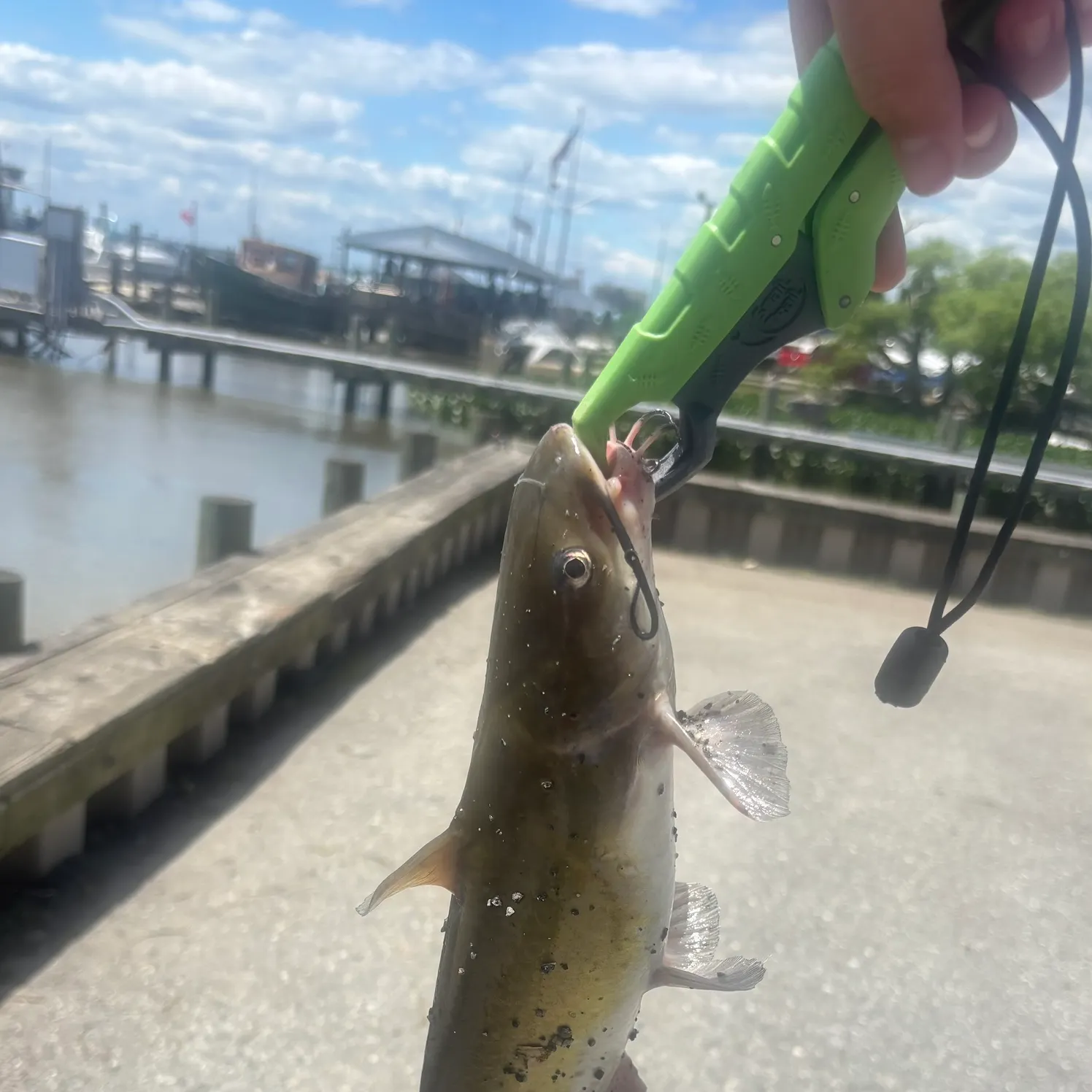 catch
