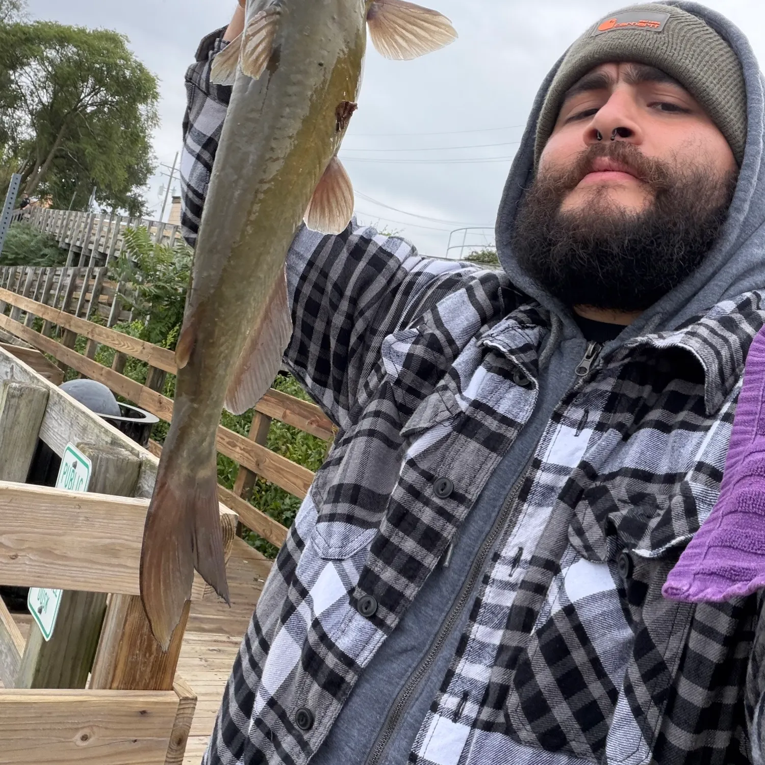 catch