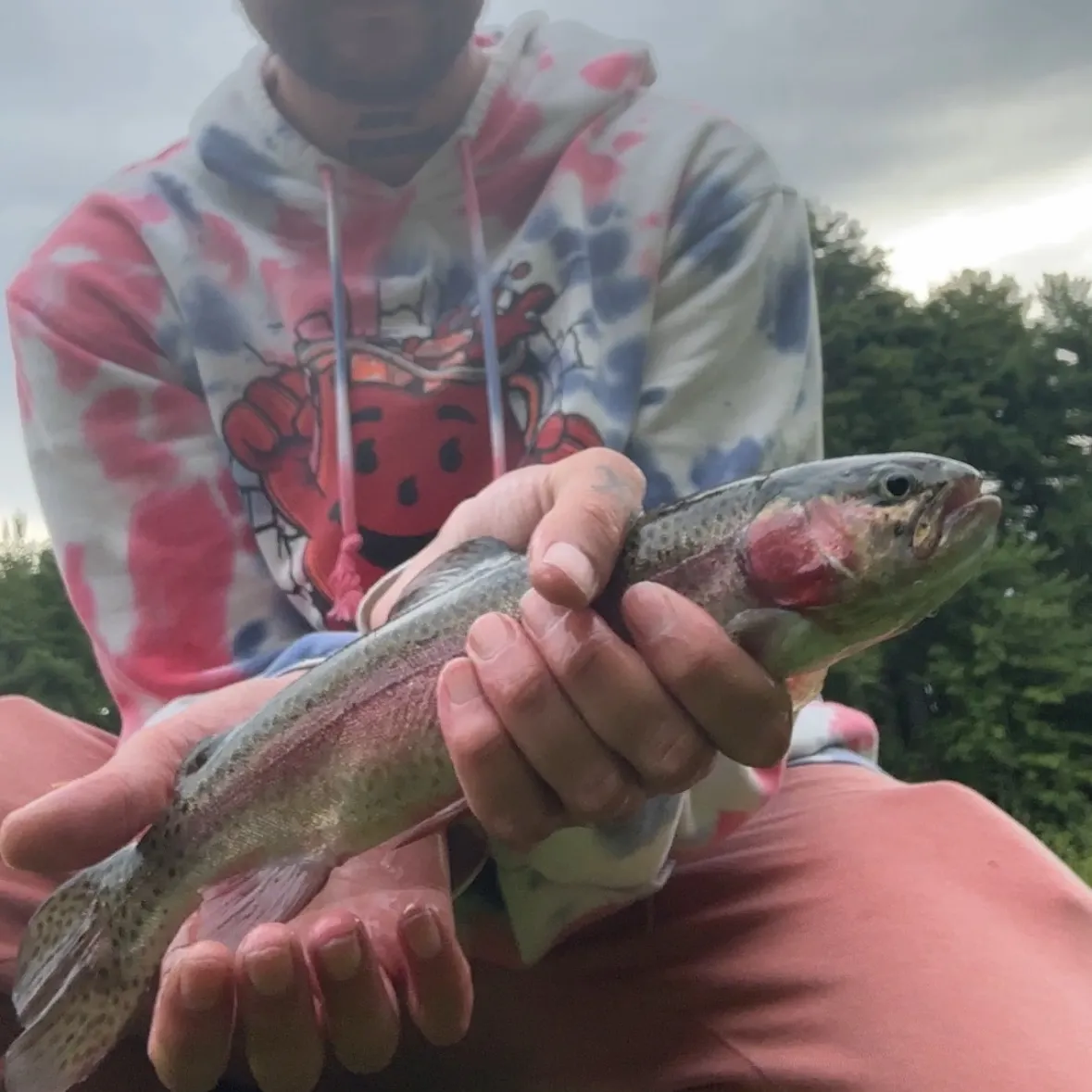 Rainbow trout caught on Fishbrain