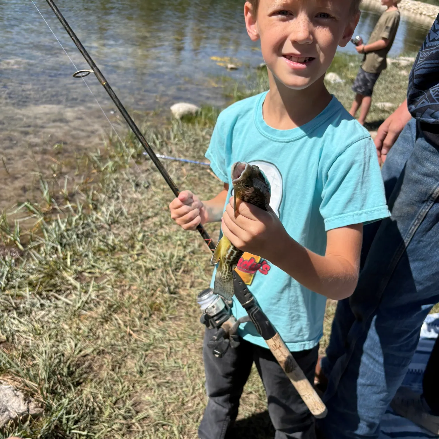 Rainbow trout caught on Fishbrain