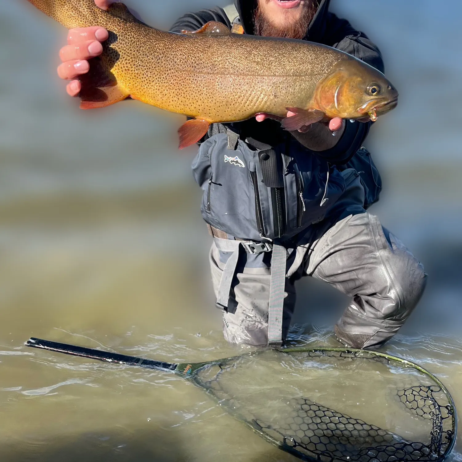 The most recent Snake River fine-spotted cutthroat trout catches on Fishbrain