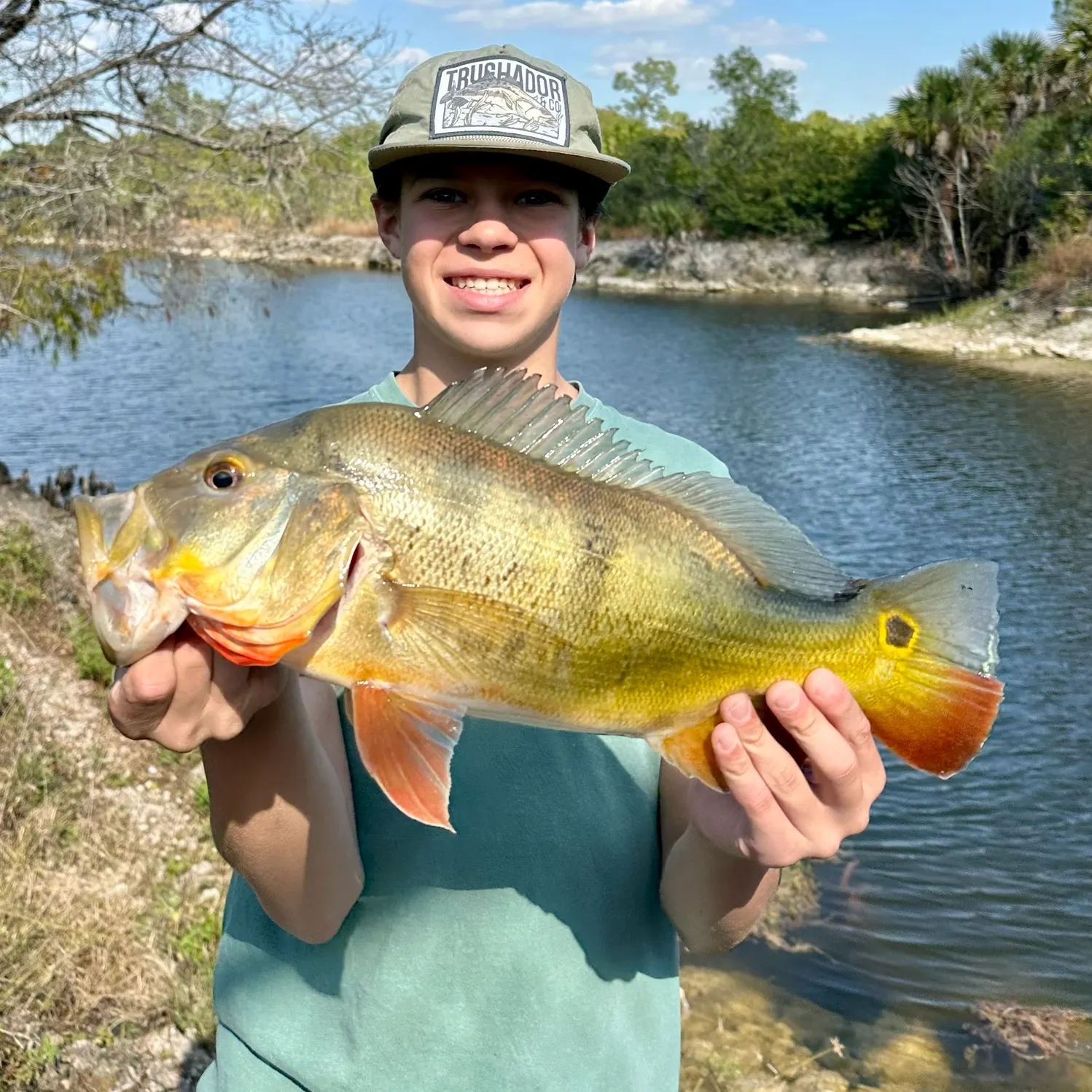 The most recent Butterfly peacock bass catches on Fishbrain