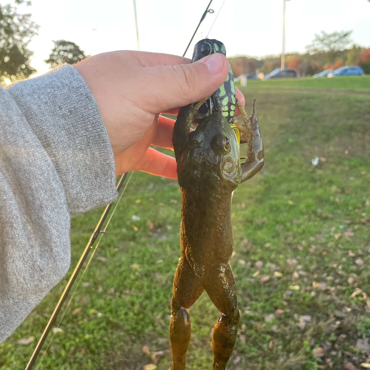 catch