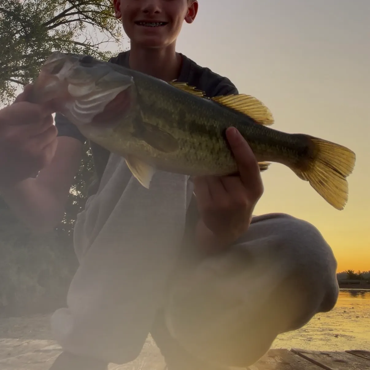 Largemouth bass caught on Fishbrain