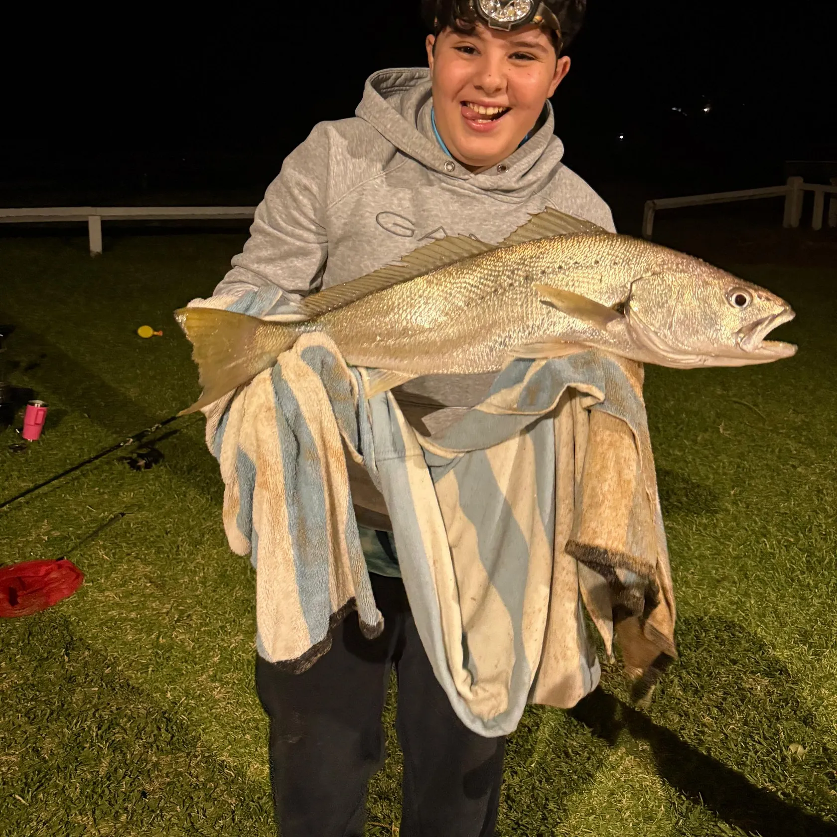 The most recent Japanese meagre catches on Fishbrain
