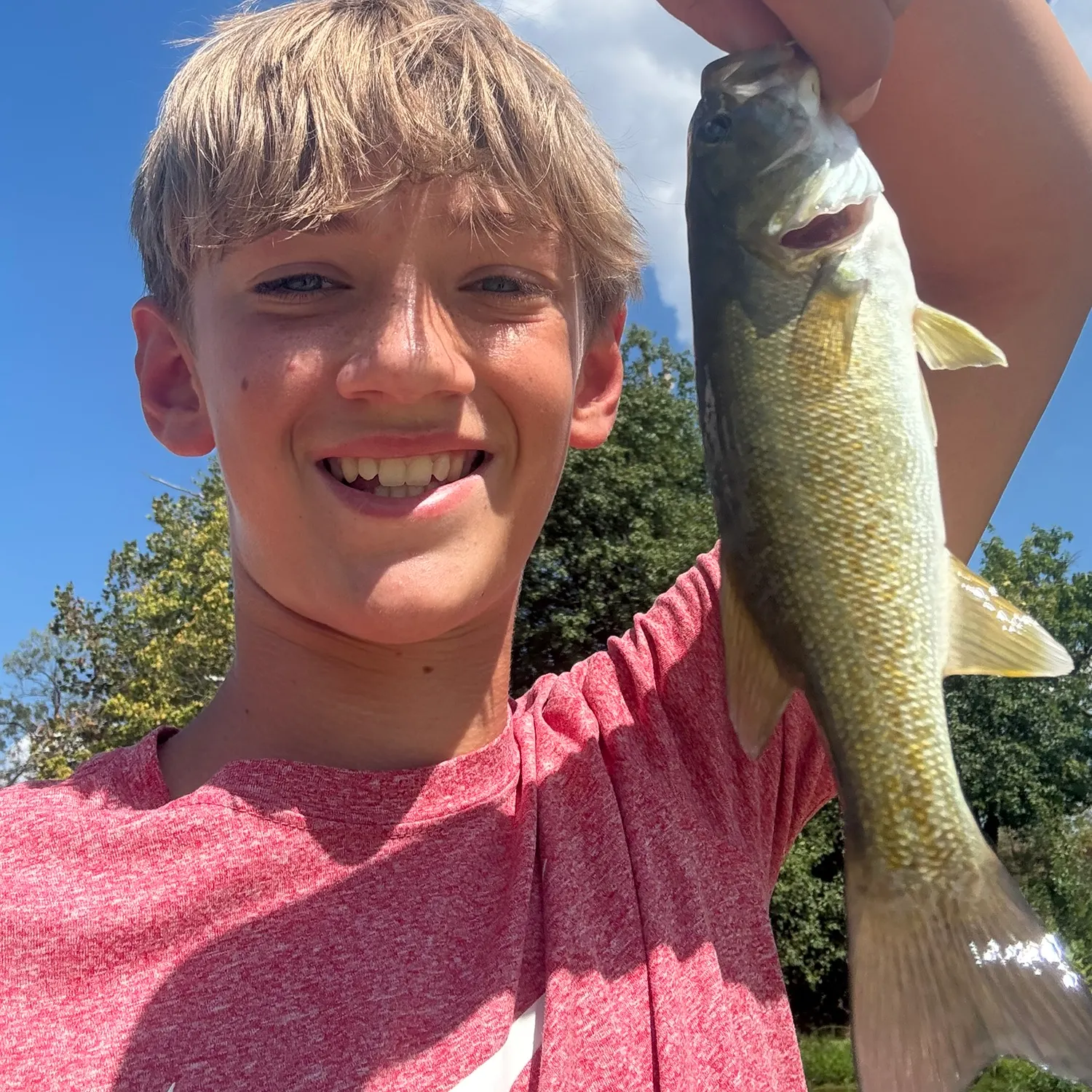 Smallmouth bass caught on Fishbrain