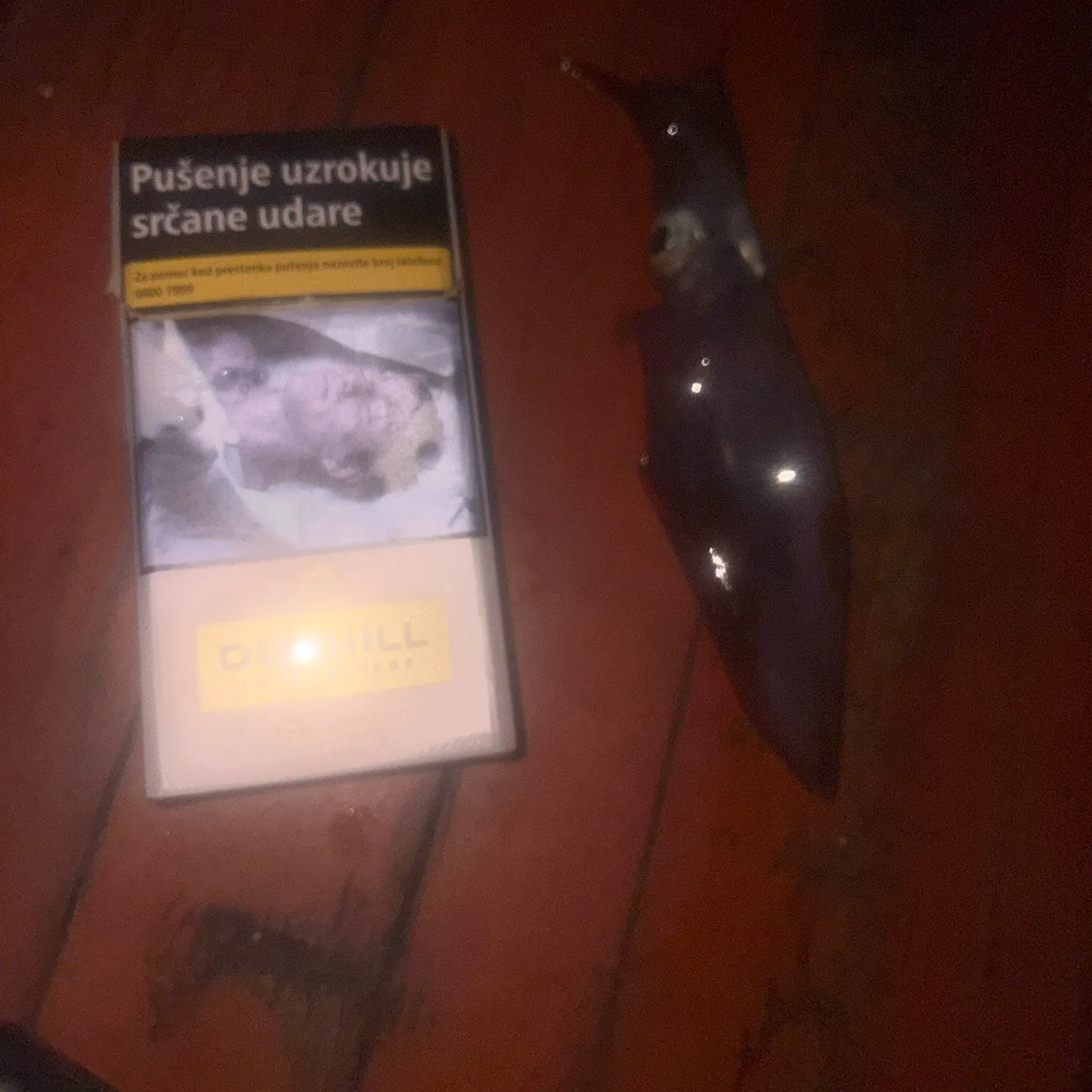 The most recent Southern calamari catches on Fishbrain