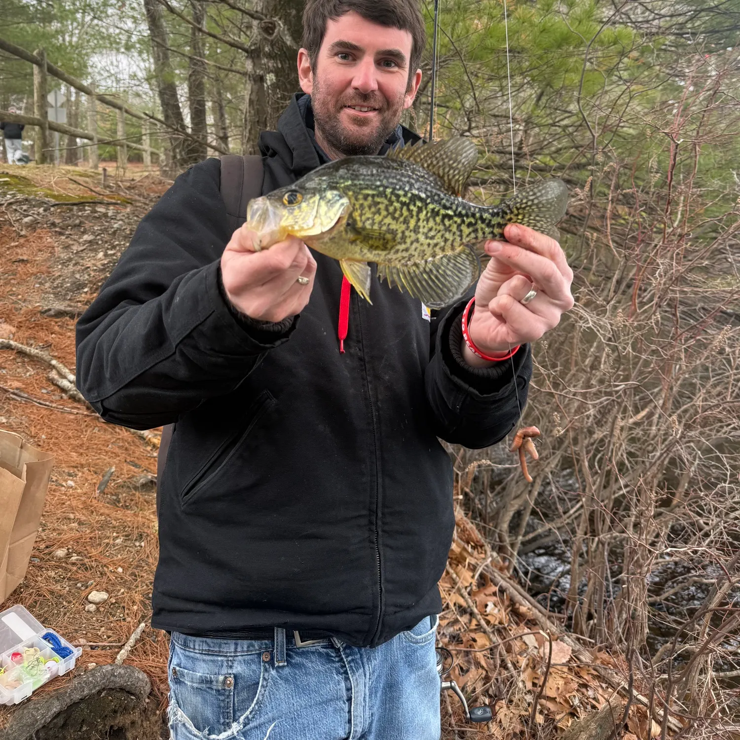 The most recent Black crappie catches on Fishbrain