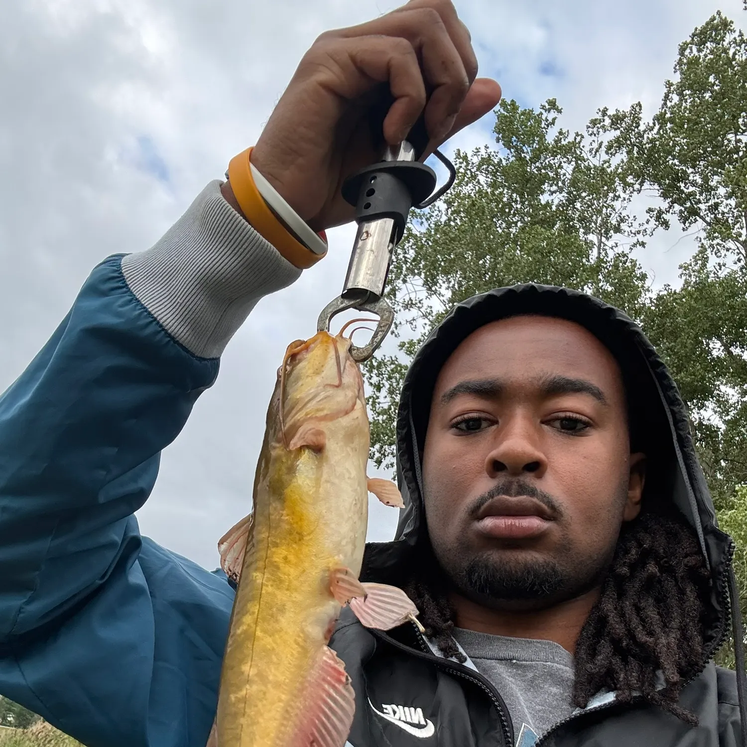 Brown bullhead caught on Fishbrain