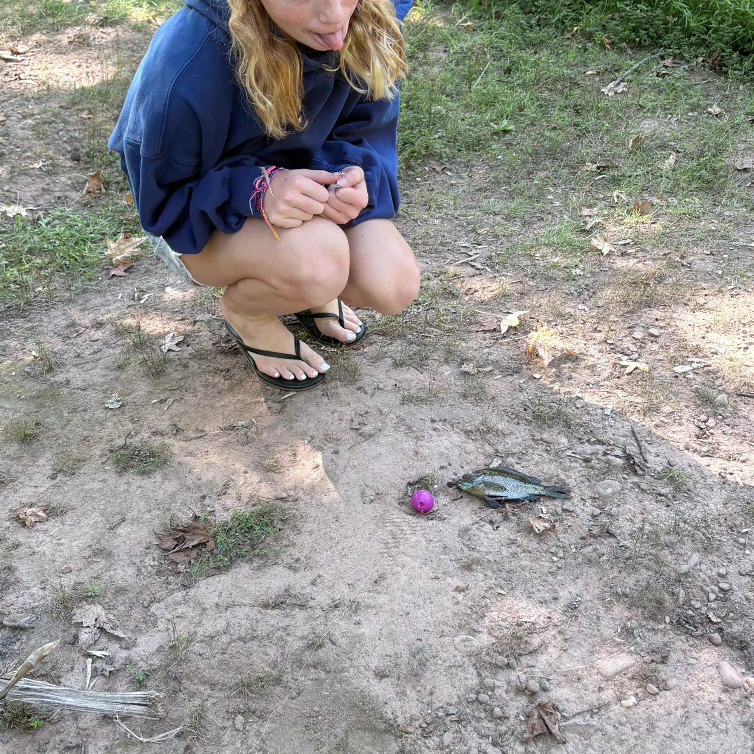 Bluegill caught on Fishbrain