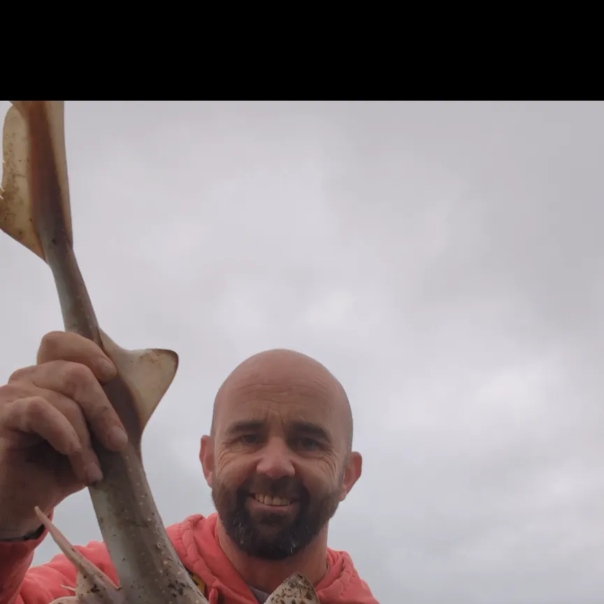 most liked catch image