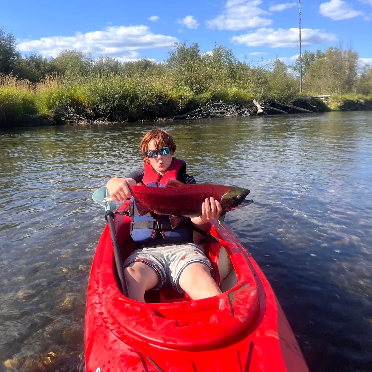 Sockeye salmon caught on Fishbrain