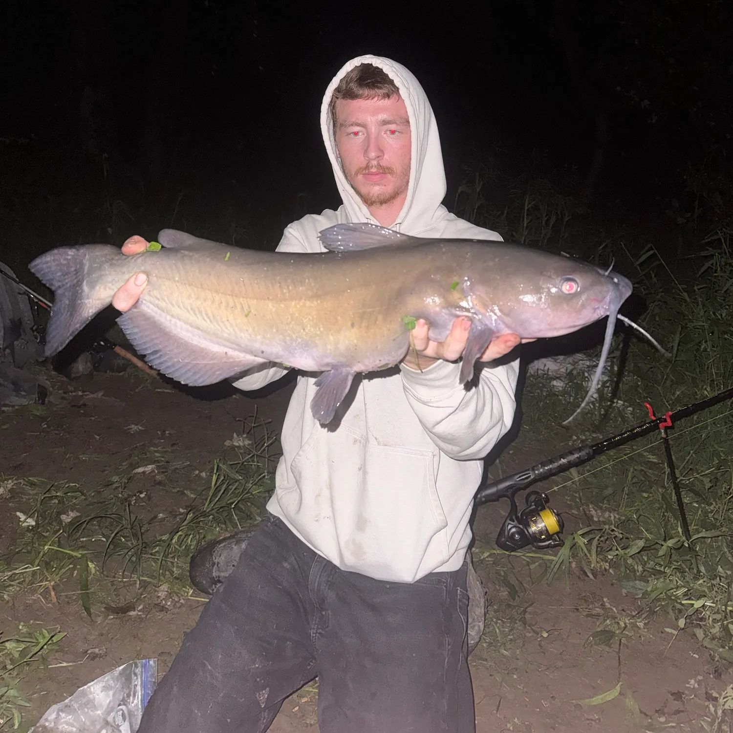 Channel catfish caught on Fishbrain