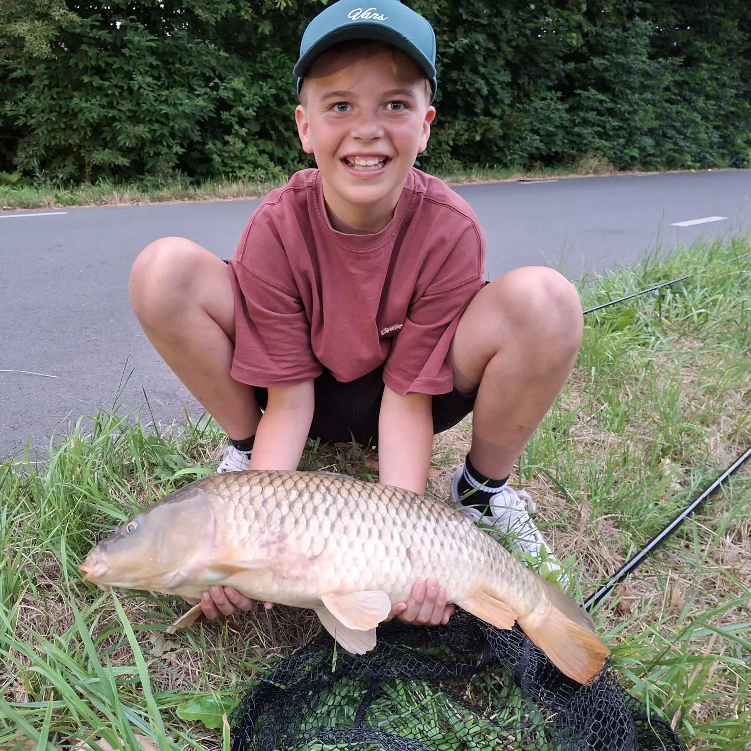 Common carp caught on Fishbrain