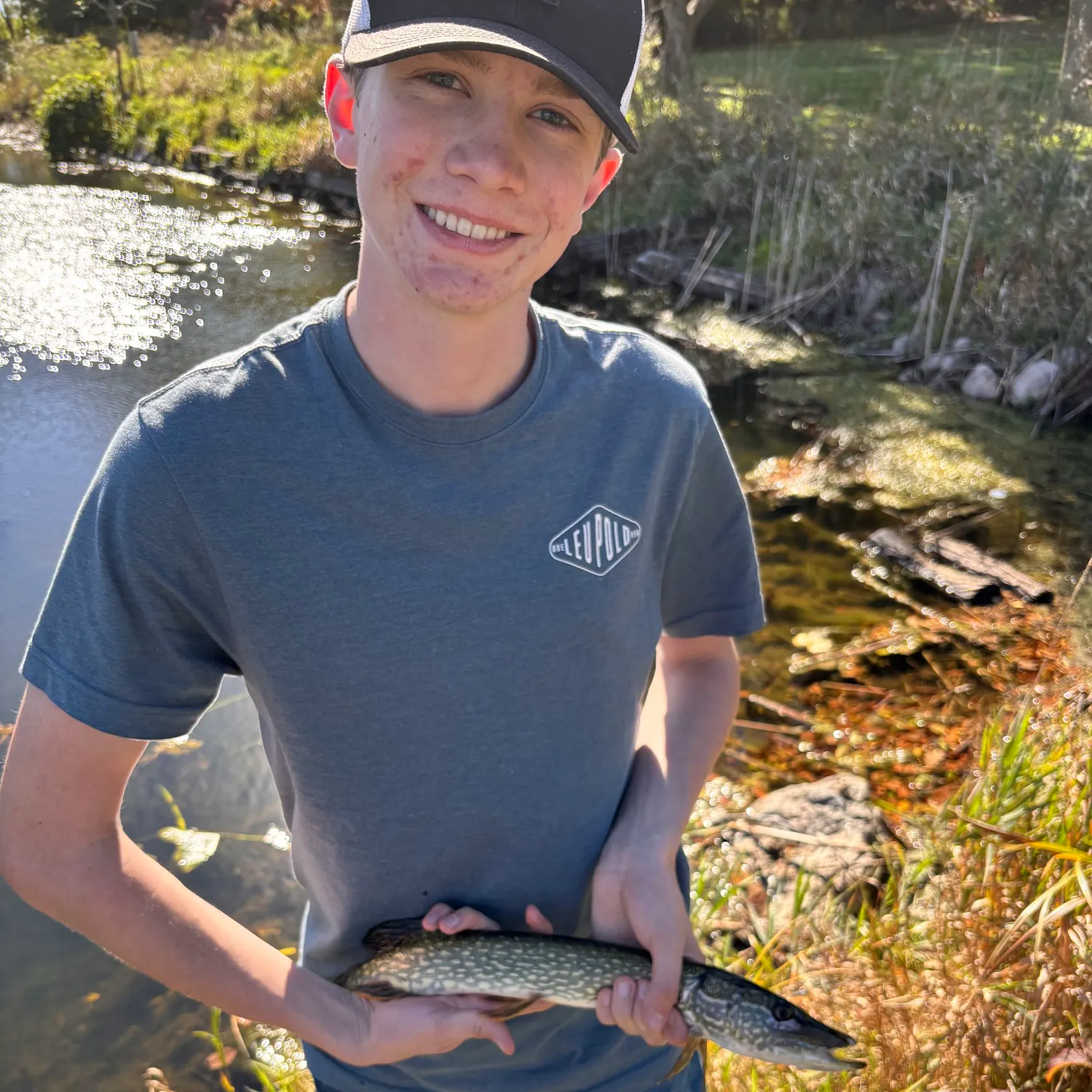 Northern pike caught on Fishbrain