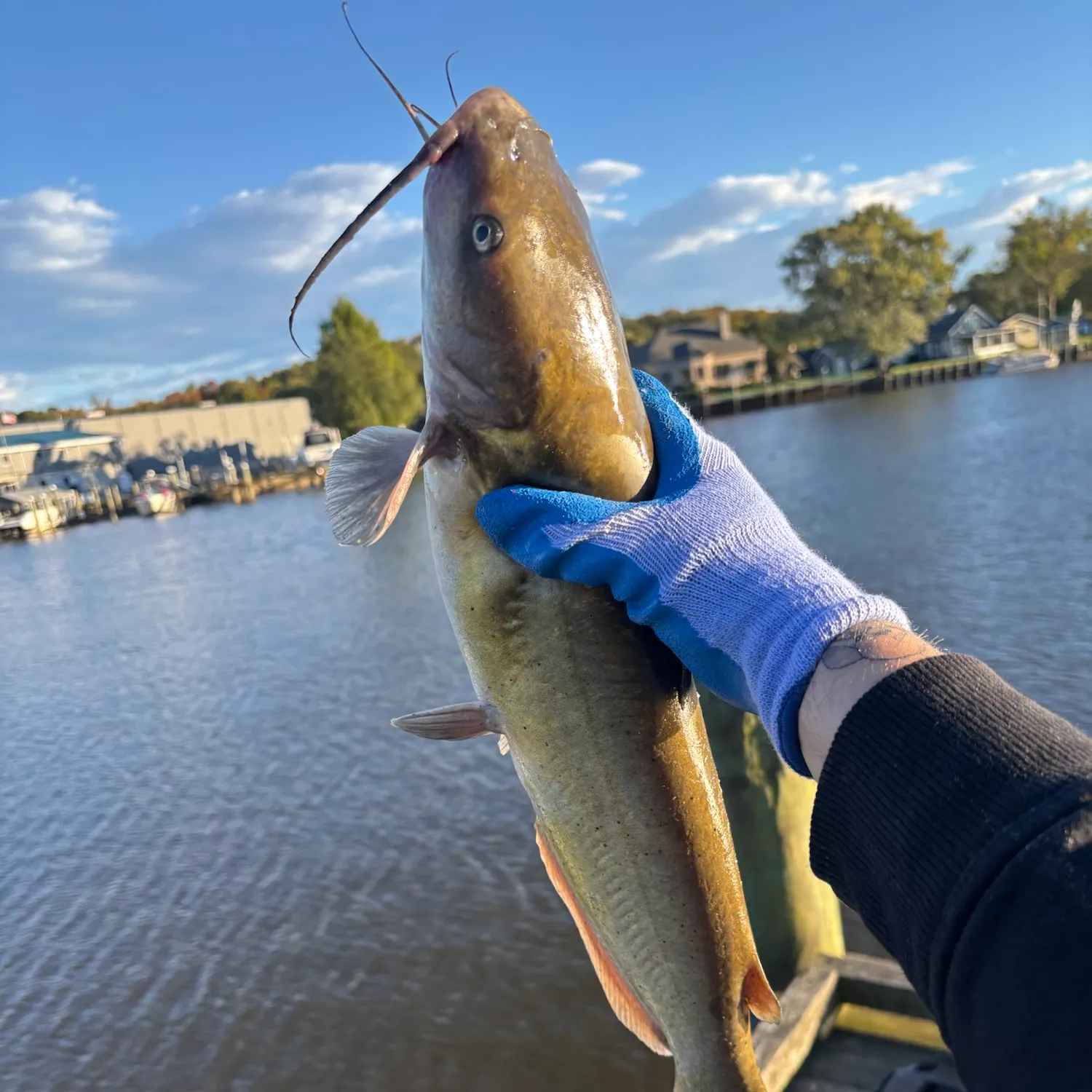 catch