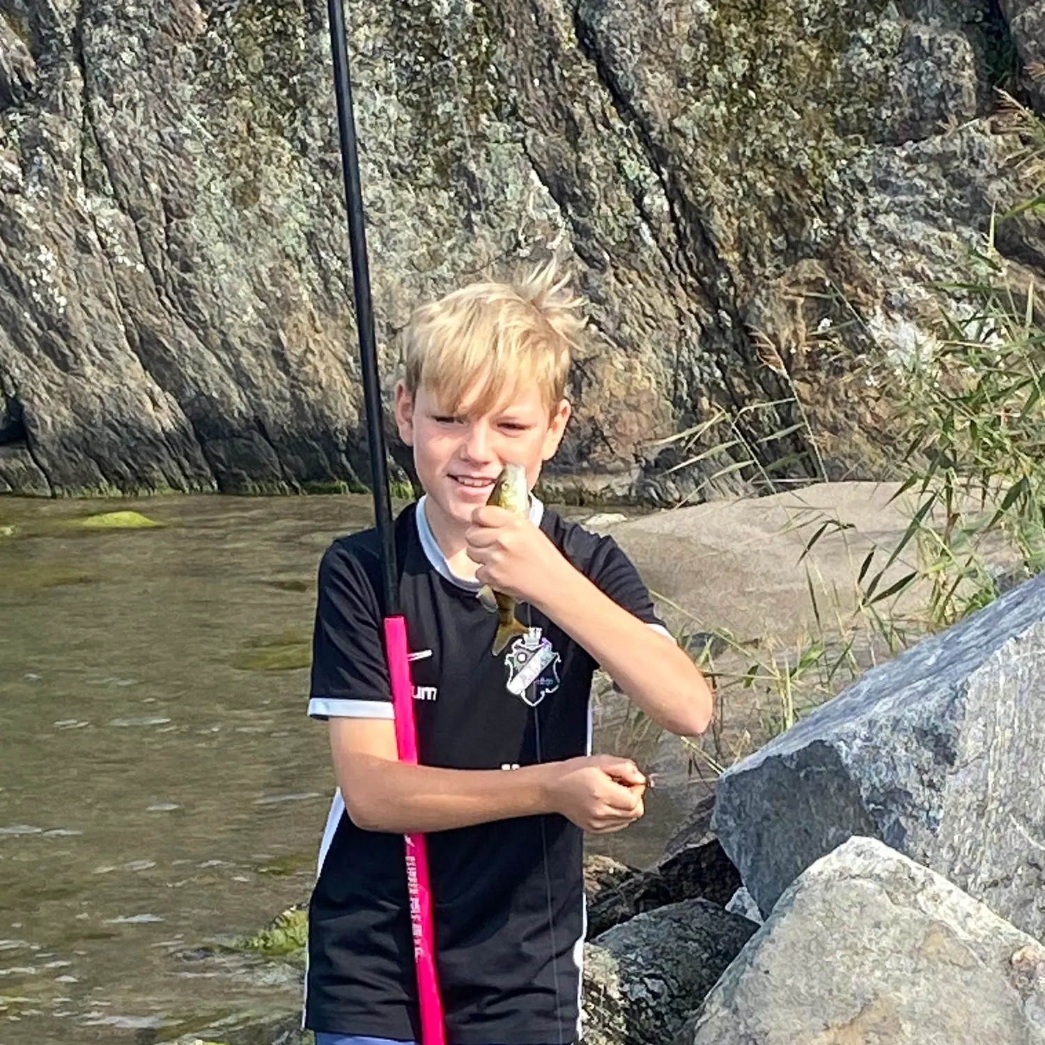 European perch caught on Fishbrain
