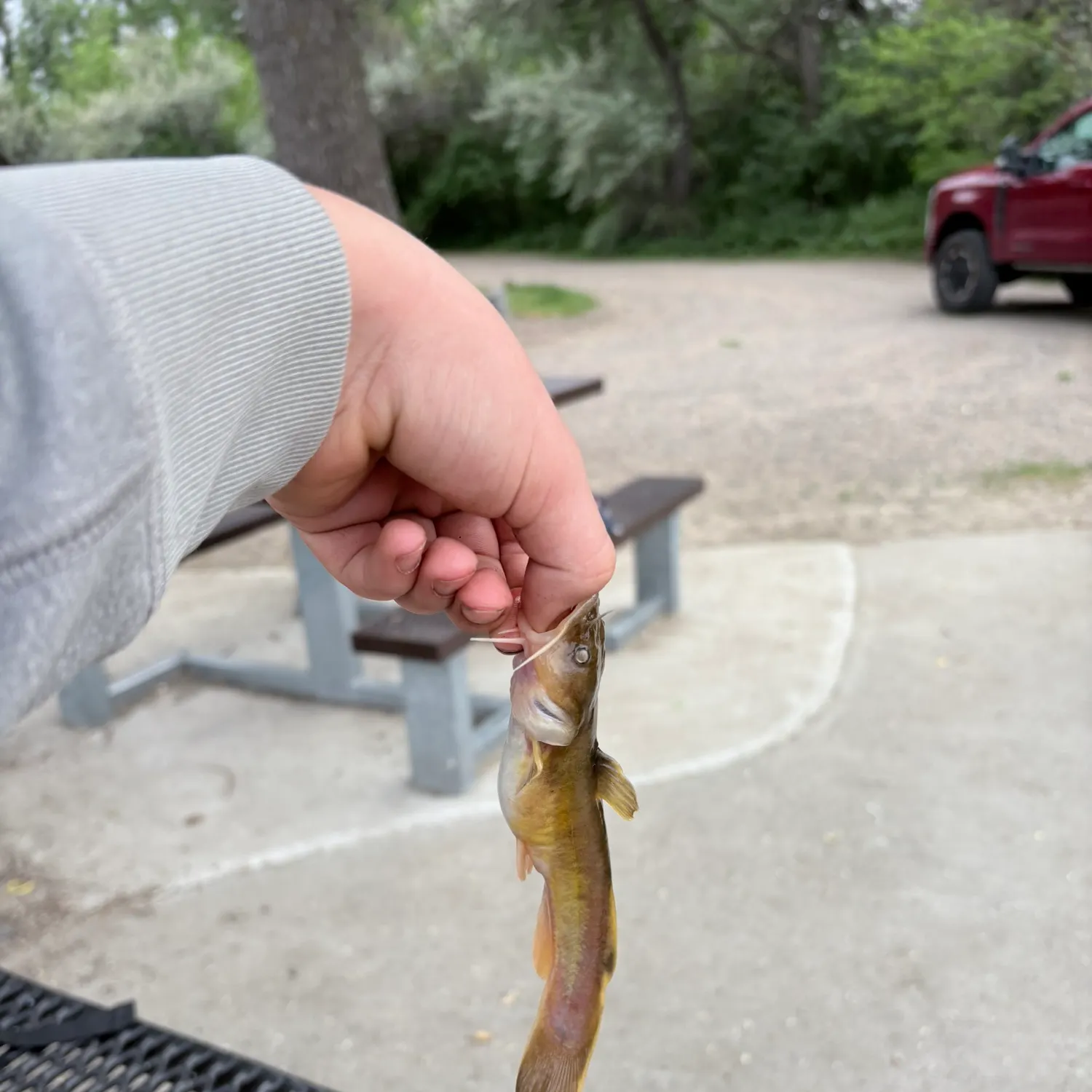 catch