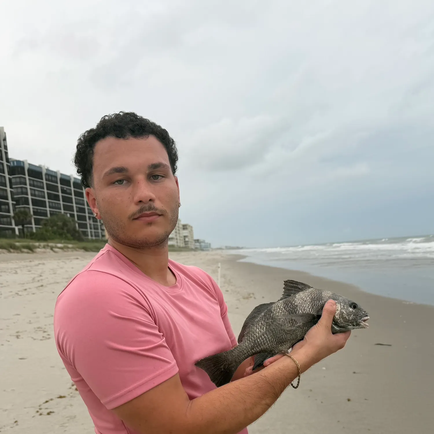 Black drum caught on Fishbrain