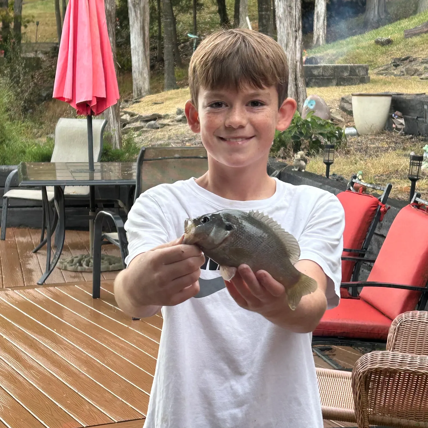 Greengill hybrid caught on Fishbrain