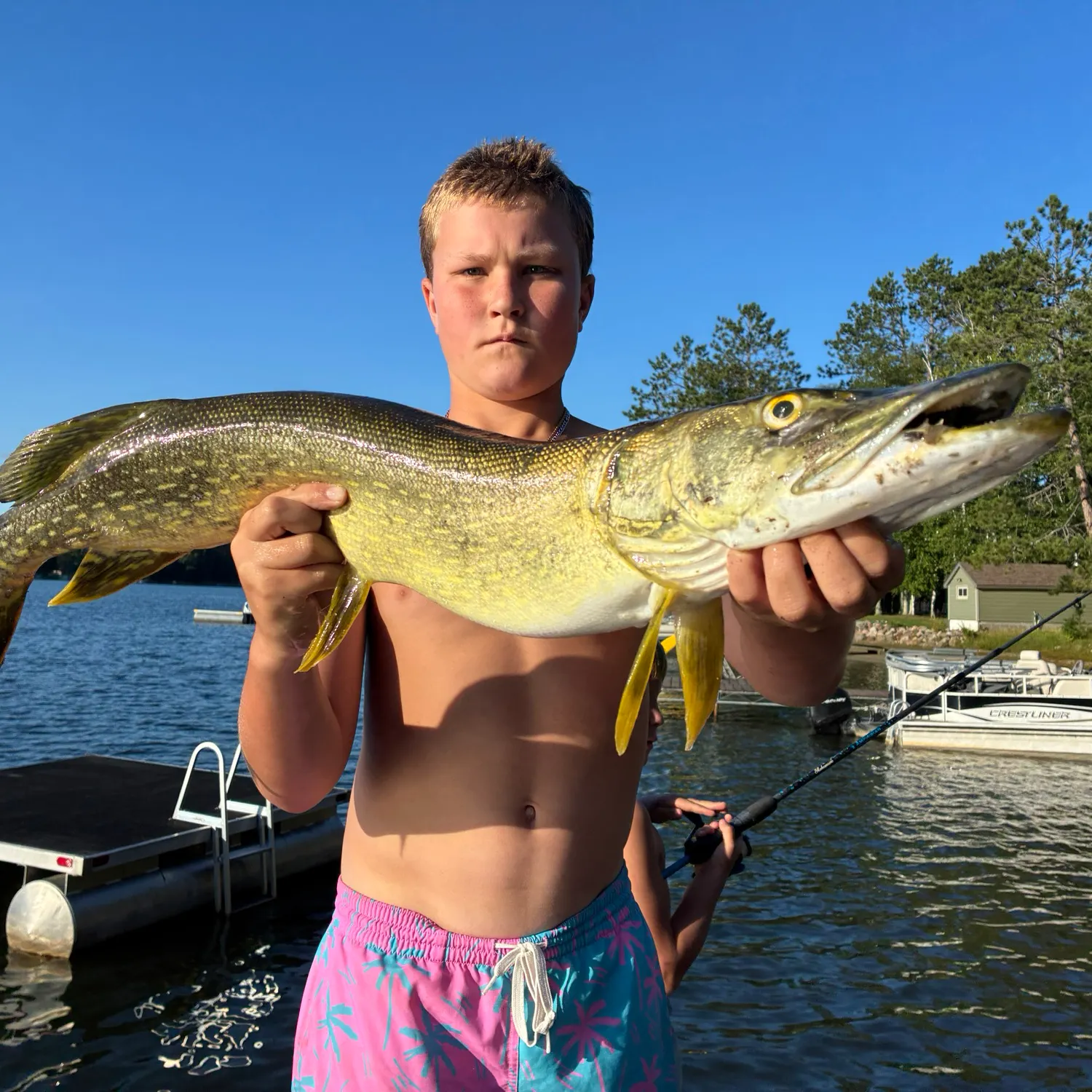 Northern pike caught on Fishbrain