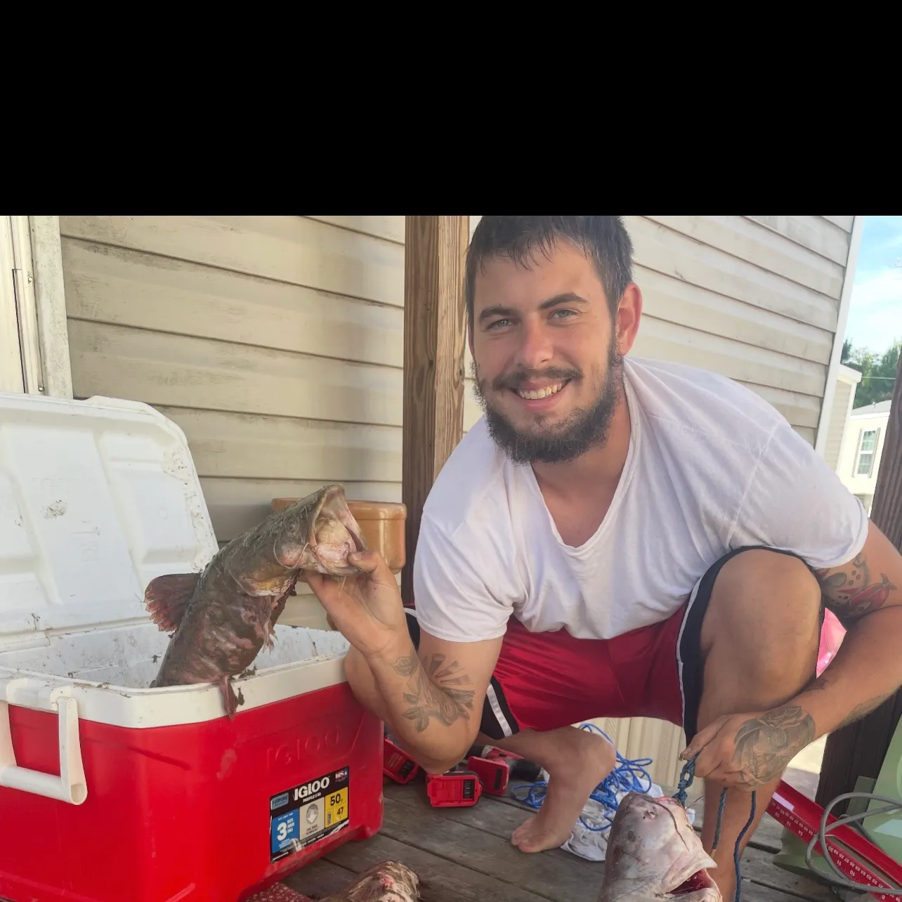 recently logged catches