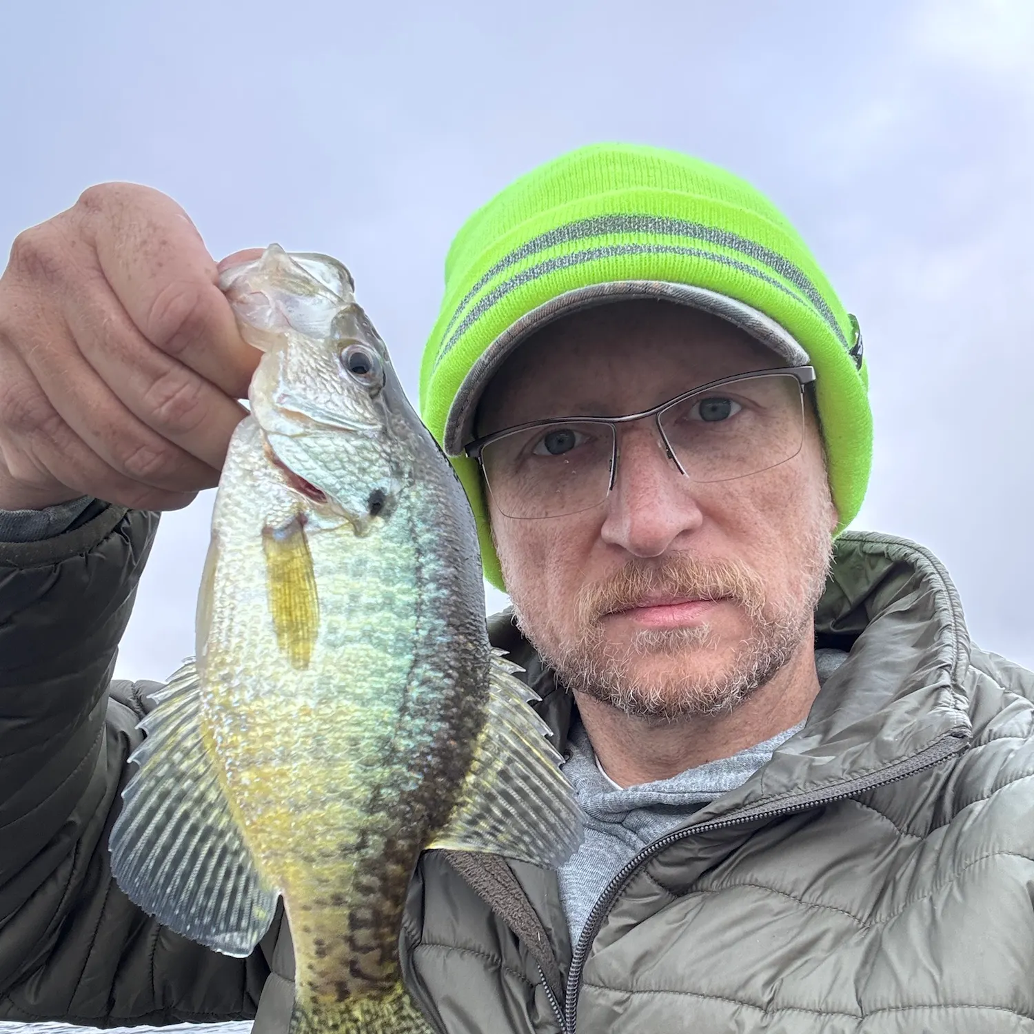 Black crappie caught on Fishbrain