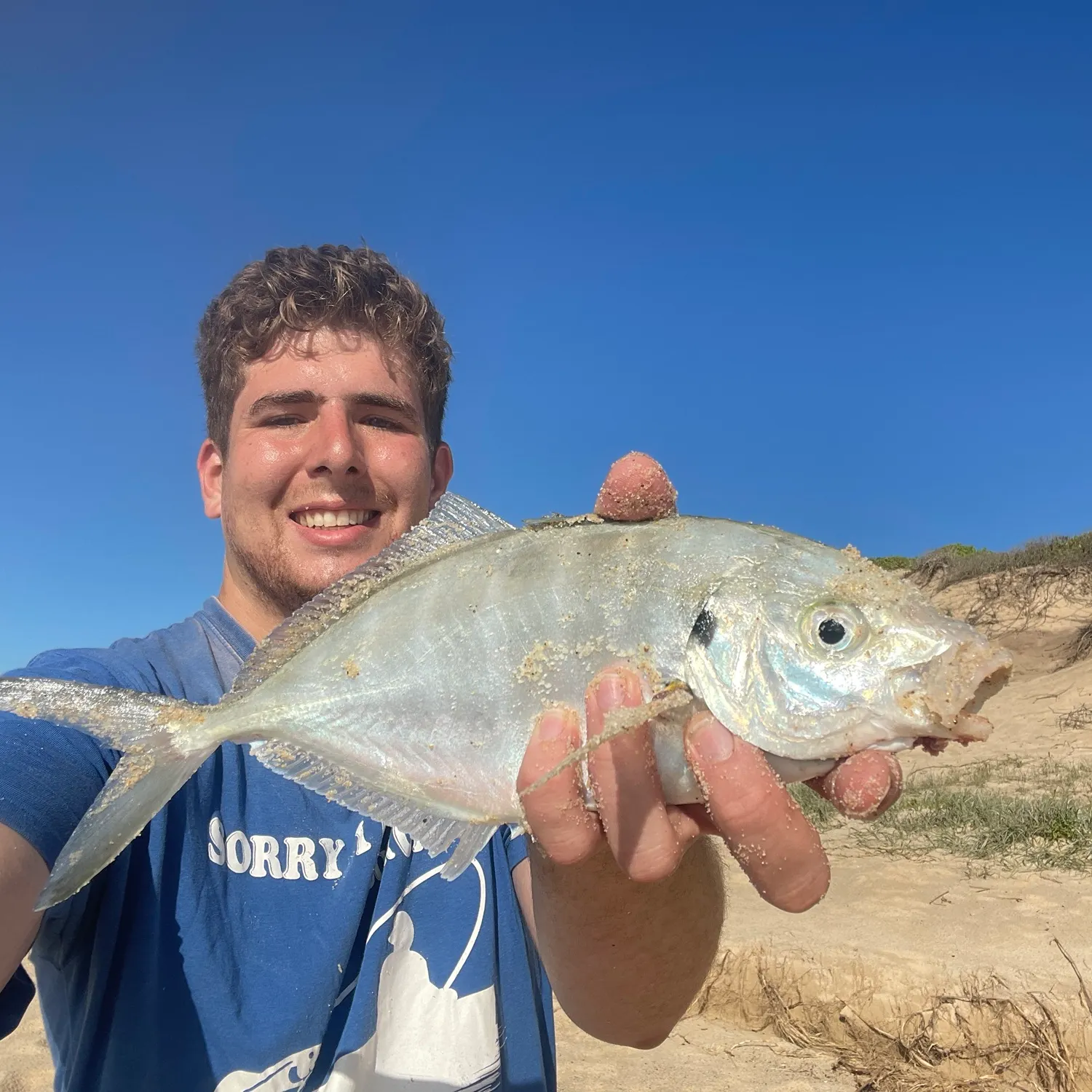 The most recent White trevally catches on Fishbrain