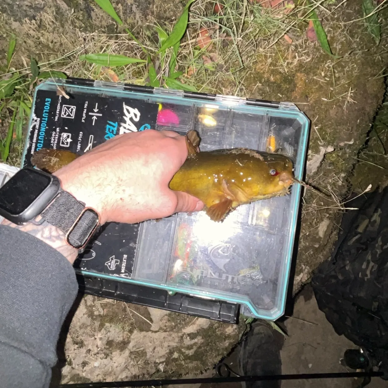 catch