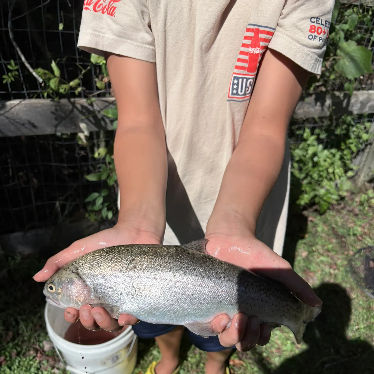 Rainbow trout caught on Fishbrain