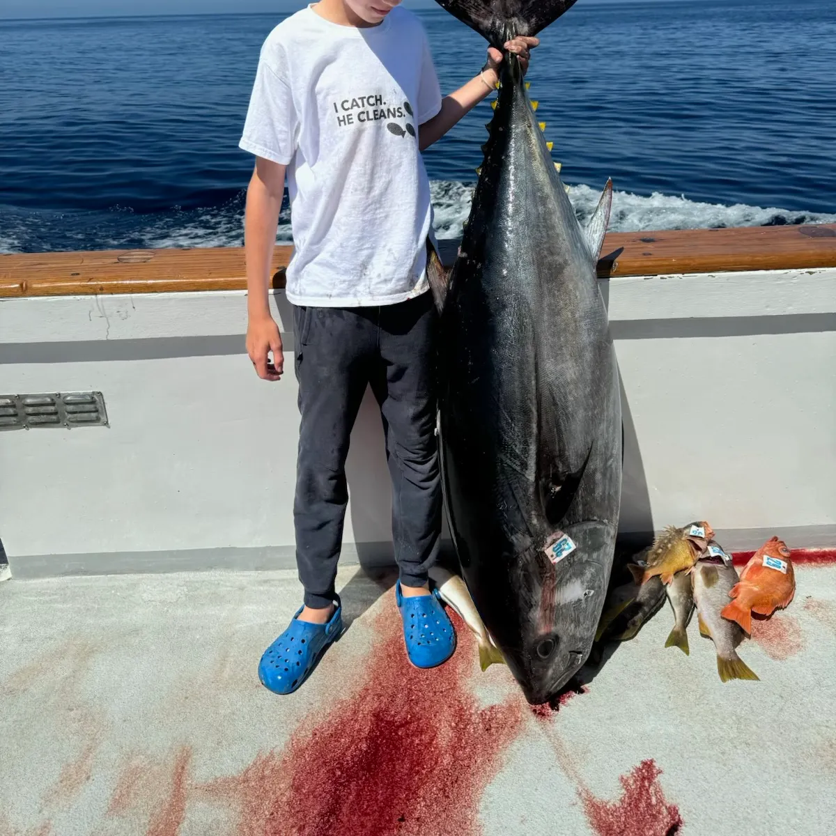 The most recent Pacific bluefin tuna catches on Fishbrain