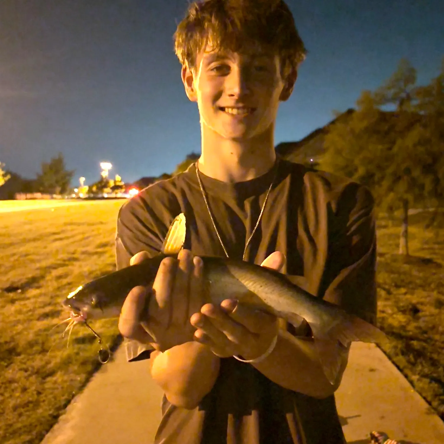 Channel catfish caught on Fishbrain