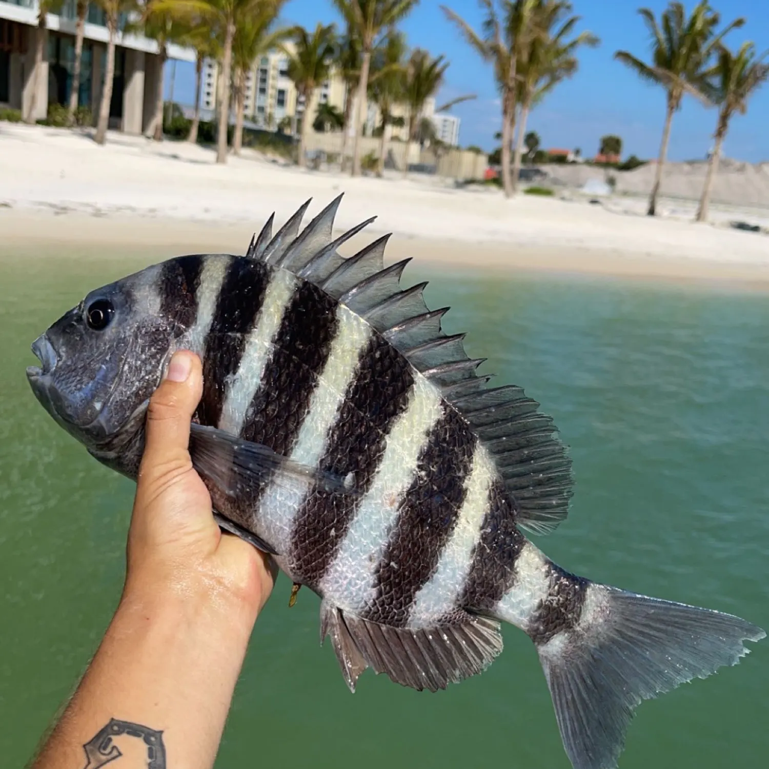 angler catch