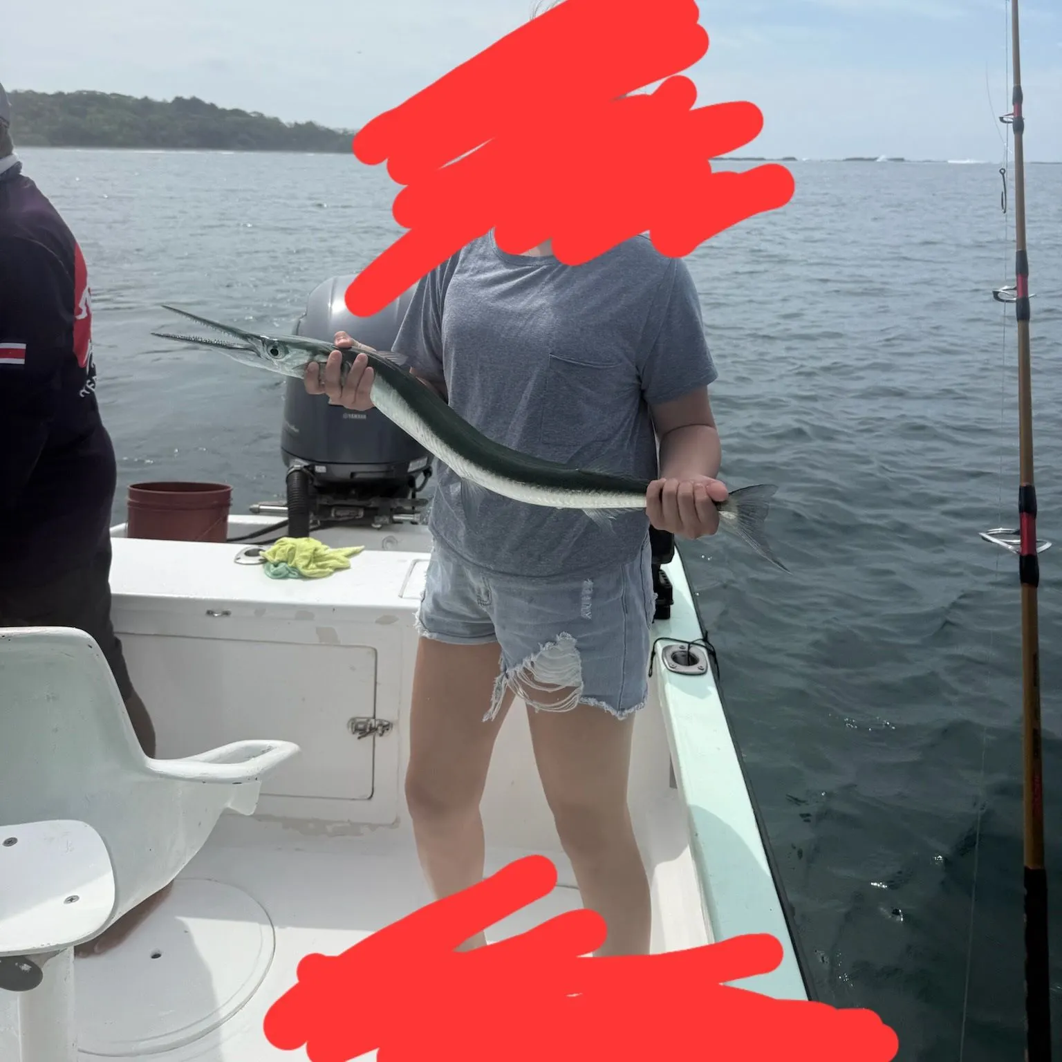 The most recent Flat needlefish catches on Fishbrain