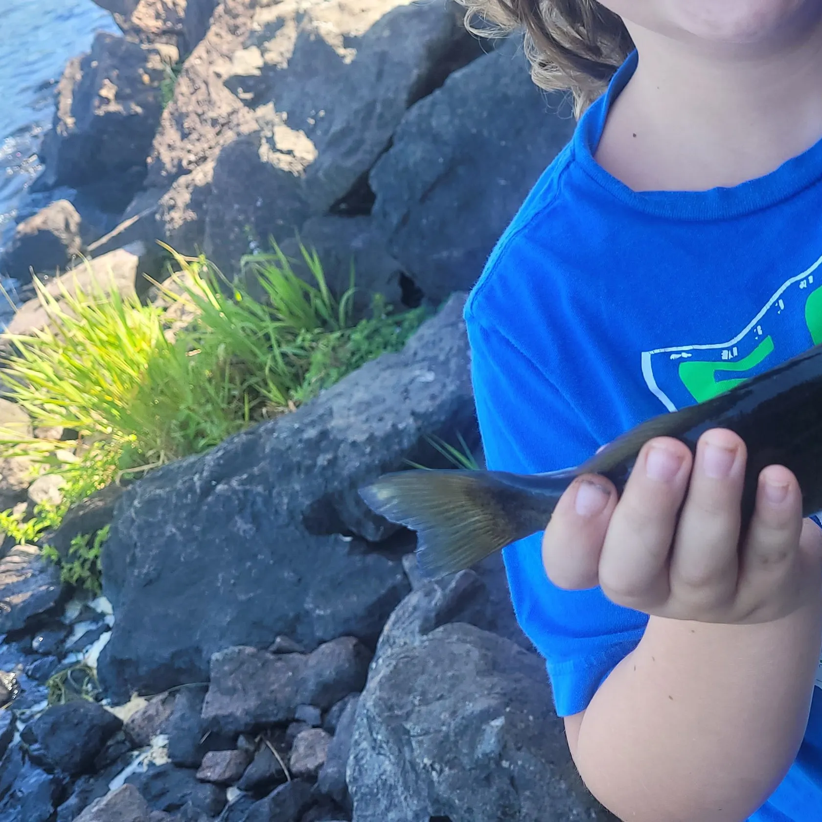 Smallmouth bass caught on Fishbrain