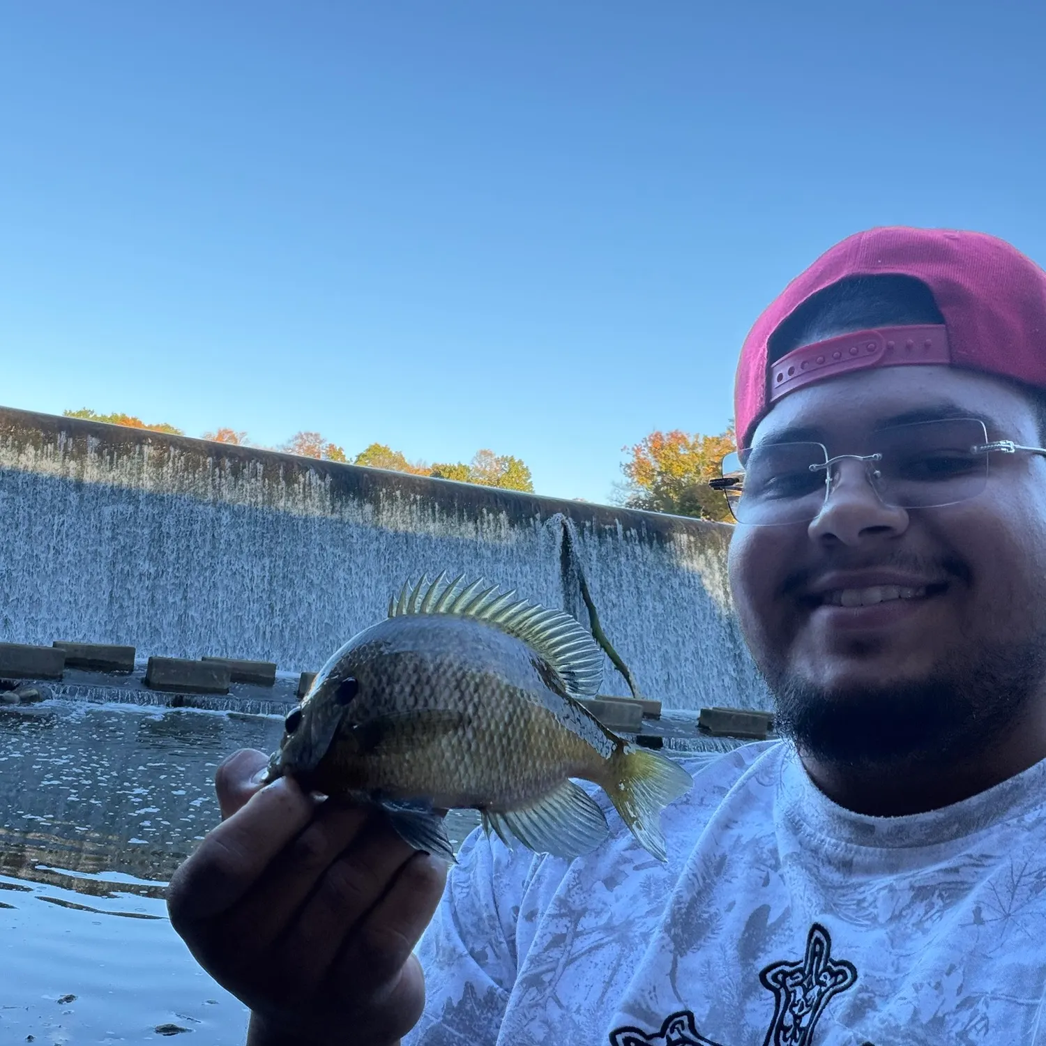 Bluegill caught on Fishbrain