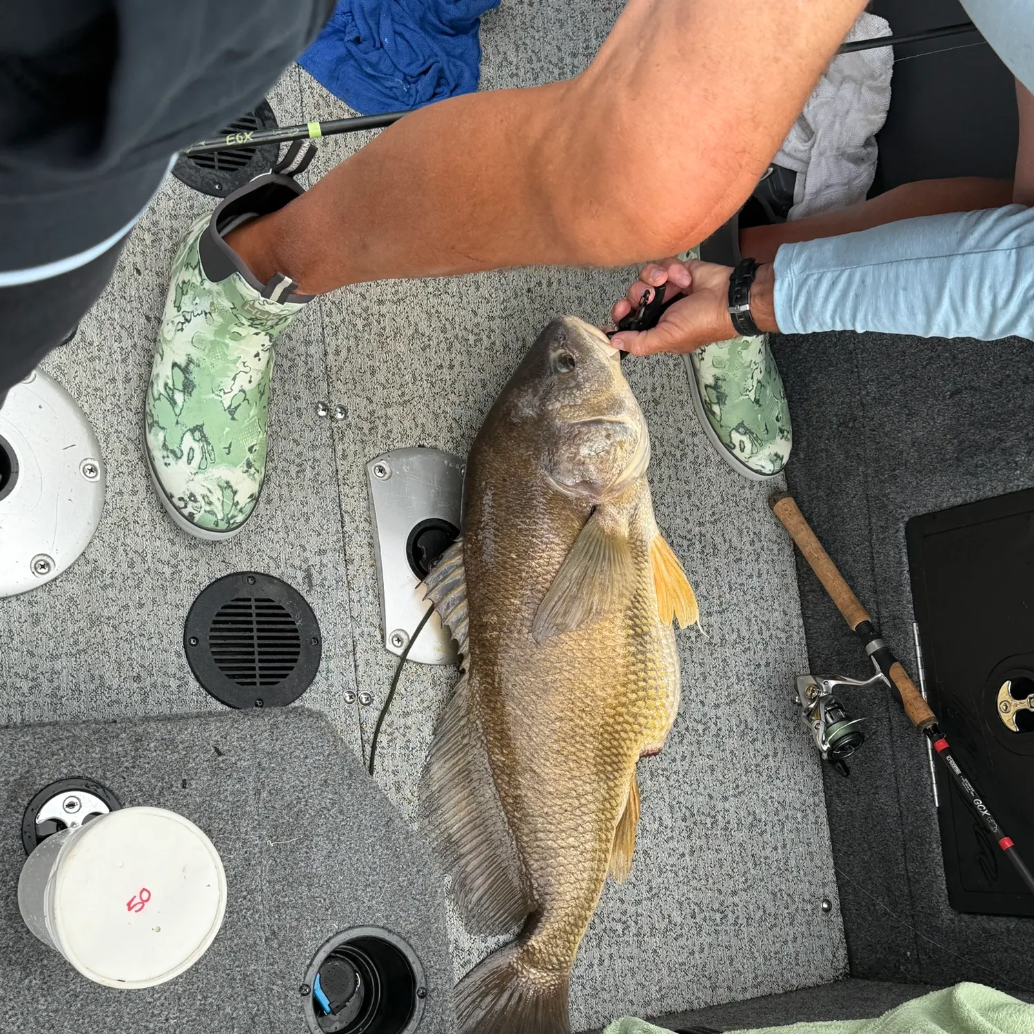 catch