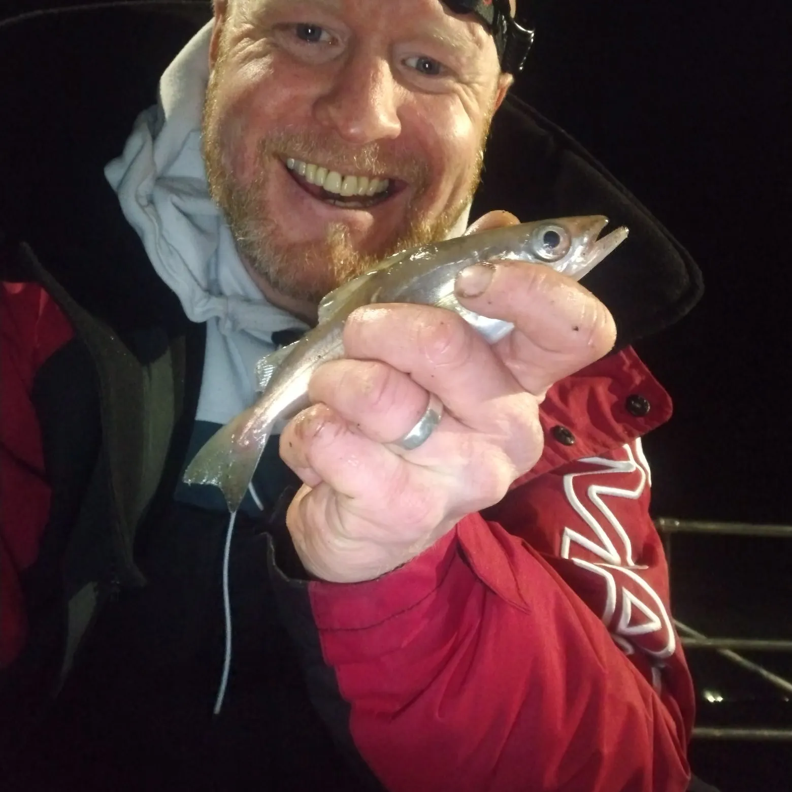 The most recent Pollack catches on Fishbrain